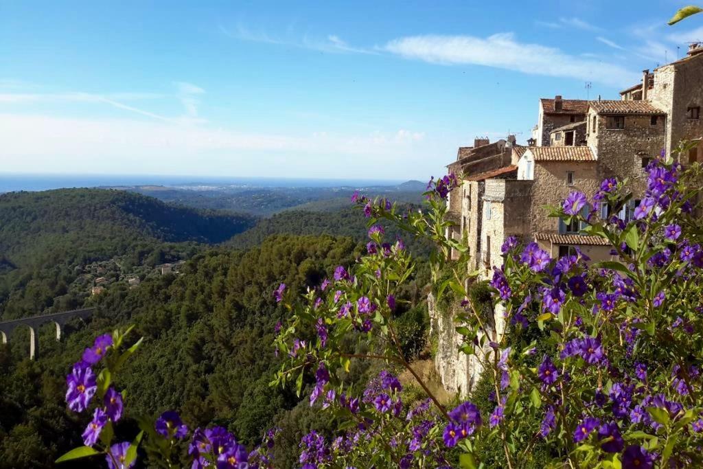 Apartamento Guest App'Art Tourrettes-sur-Loup Exterior foto